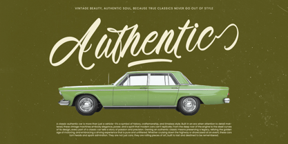 Beyond Southy Font Poster 11