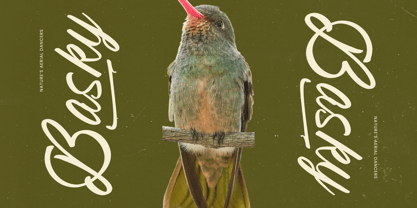 Beyond Southy Font Poster 9