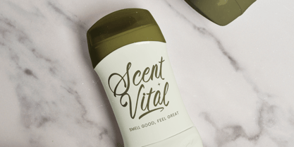 Beyond Southy Font Poster 8