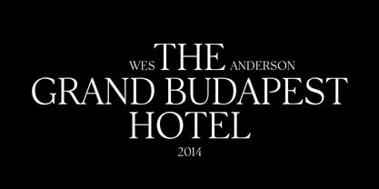 Silk Serif Text Font Poster 7