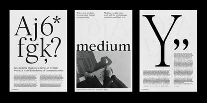 Silk Serif Text Font Poster 3