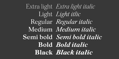 Silk Serif Text Font Poster 4