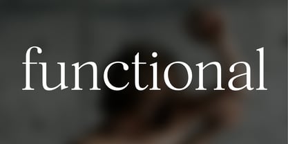 Silk Serif Text Font Poster 5