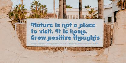 Theleo Blues Font Poster 8