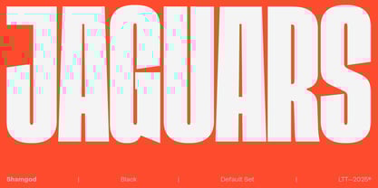 Shamgod Font Poster 4
