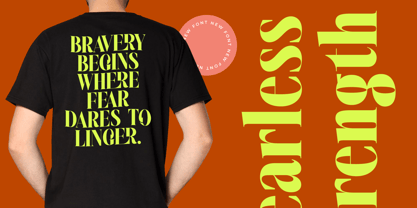 Melocity Font Poster 3