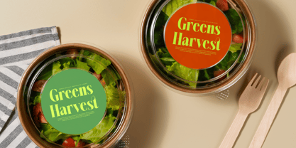 Melocity Font Poster 13