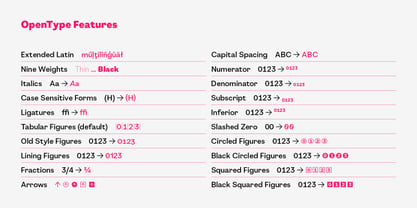 Joie Grotesk Font Poster 12