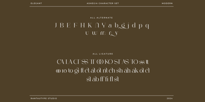 Ashegia Font Poster 15