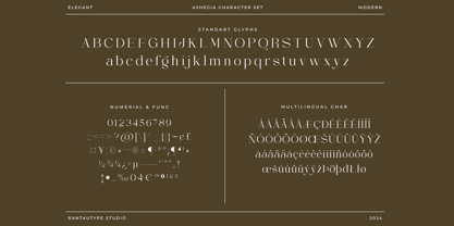 Ashegia Font Poster 14