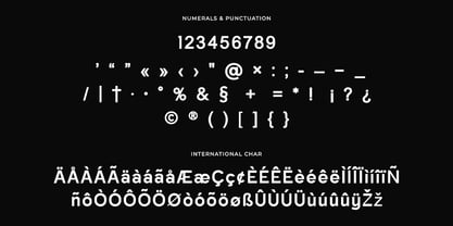 Profanations Retro Sans Font Poster 8