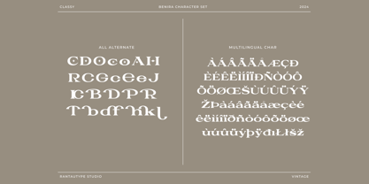 Benira Font Poster 12