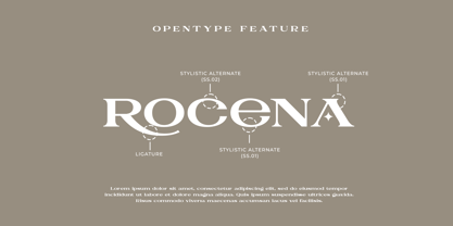 Benira Font Poster 8