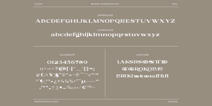 Benira Font Poster 11