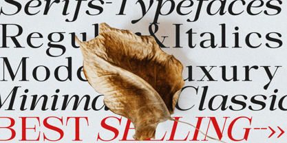 Sandyland Serif Font Poster 11