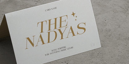 Sandyland Serif Font Poster 7