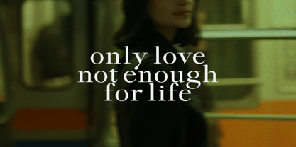 Sandyland Serif Font Poster 8