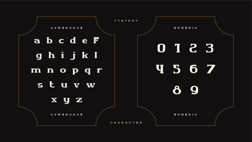 Vyntary Font Poster 3