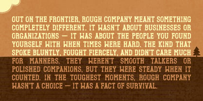 Rough Company Font Poster 4