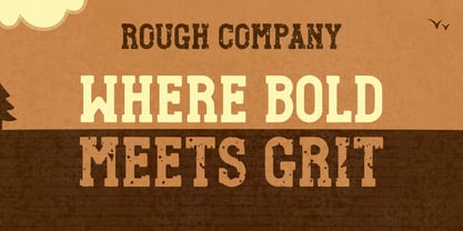 Rough Company Font Poster 3