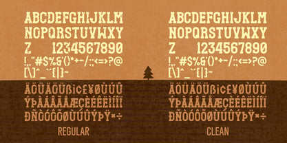 Rough Company Font Poster 6
