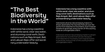 Vertiga Font Poster 8