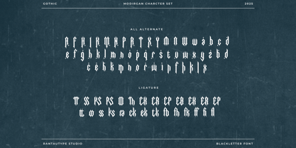 Modirgan Font Poster 14