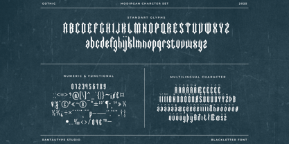 Modirgan Font Poster 13