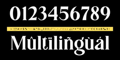 Gundogan Font Poster 3