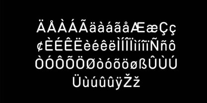 Masonries Sans Font Poster 9