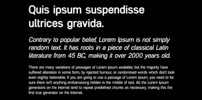 Masonries Sans Font Poster 7