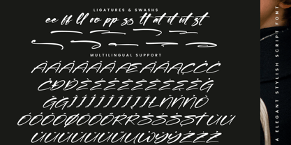 Shadow Brawlers Font Poster 14