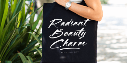 Shadow Brawlers Font Poster 2