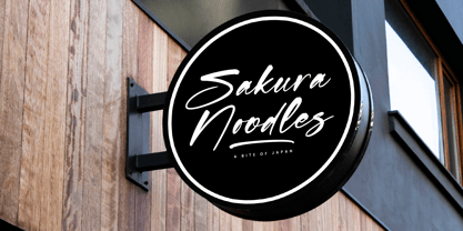 Shadow Brawlers Font Poster 12