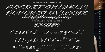 Shadow Brawlers Font Poster 13