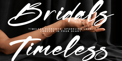 Shadow Brawlers Font Poster 3