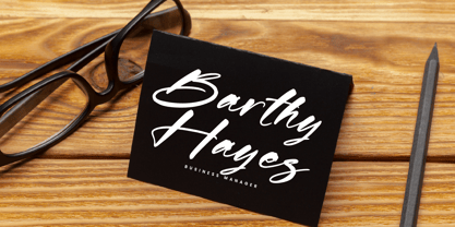 Shadow Brawlers Font Poster 5