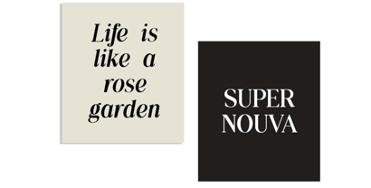 Moderna Serif Font Poster 4