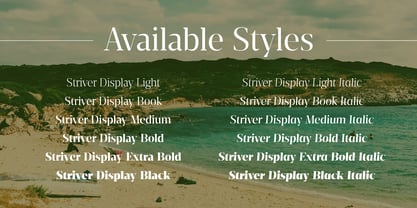 Striver Display Font Poster 3