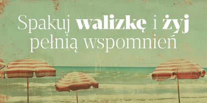 Striver Text Font Poster 5