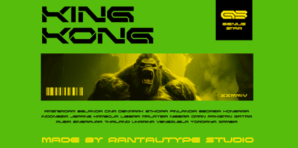 Resond Font Poster 9