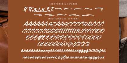 Baskito Velvett Font Poster 14