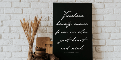 Rullian Vicotas Font Poster 5