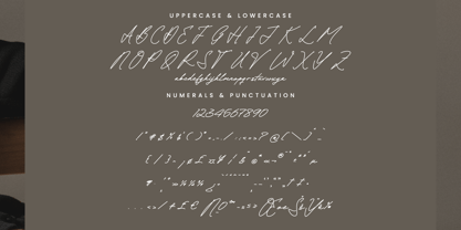 Rullian Vicotas Font Poster 13