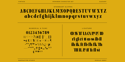 Romaben Font Poster 14