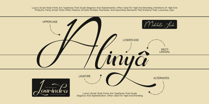 Laurindra Font Poster 5