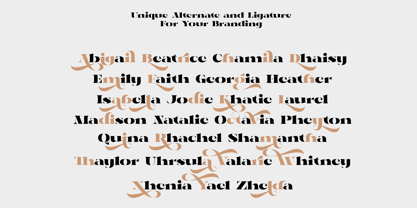 Aviarge Font Poster 13