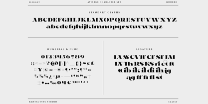 Aviarge Font Poster 14