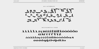 Aviarge Font Poster 15