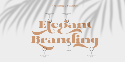 Aviarge Font Poster 6